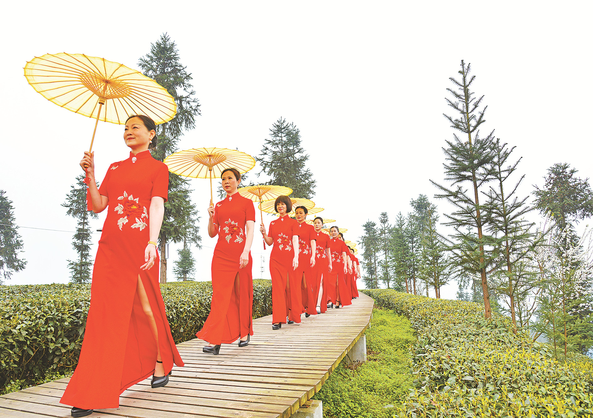 春到马边(图8)