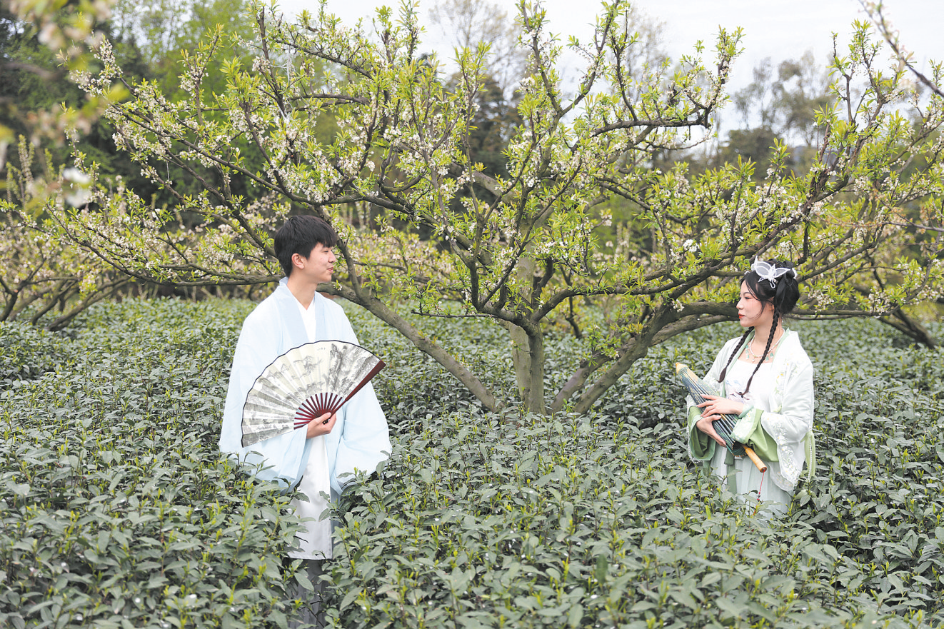 夹江茶旅文化活动助推茶产业发展(图2)