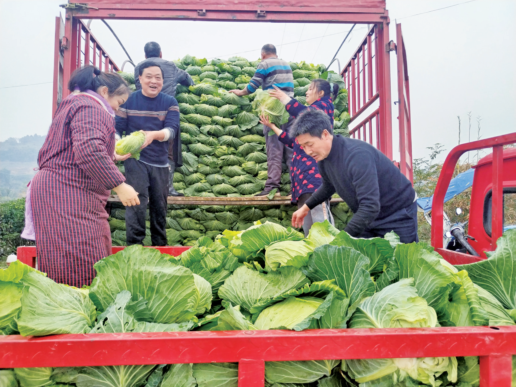 犍为县塘湾村 『莲』通致富路村民乐开颜(图1) 犍为县塘湾村 『莲』通致富路村民乐开颜(图1)