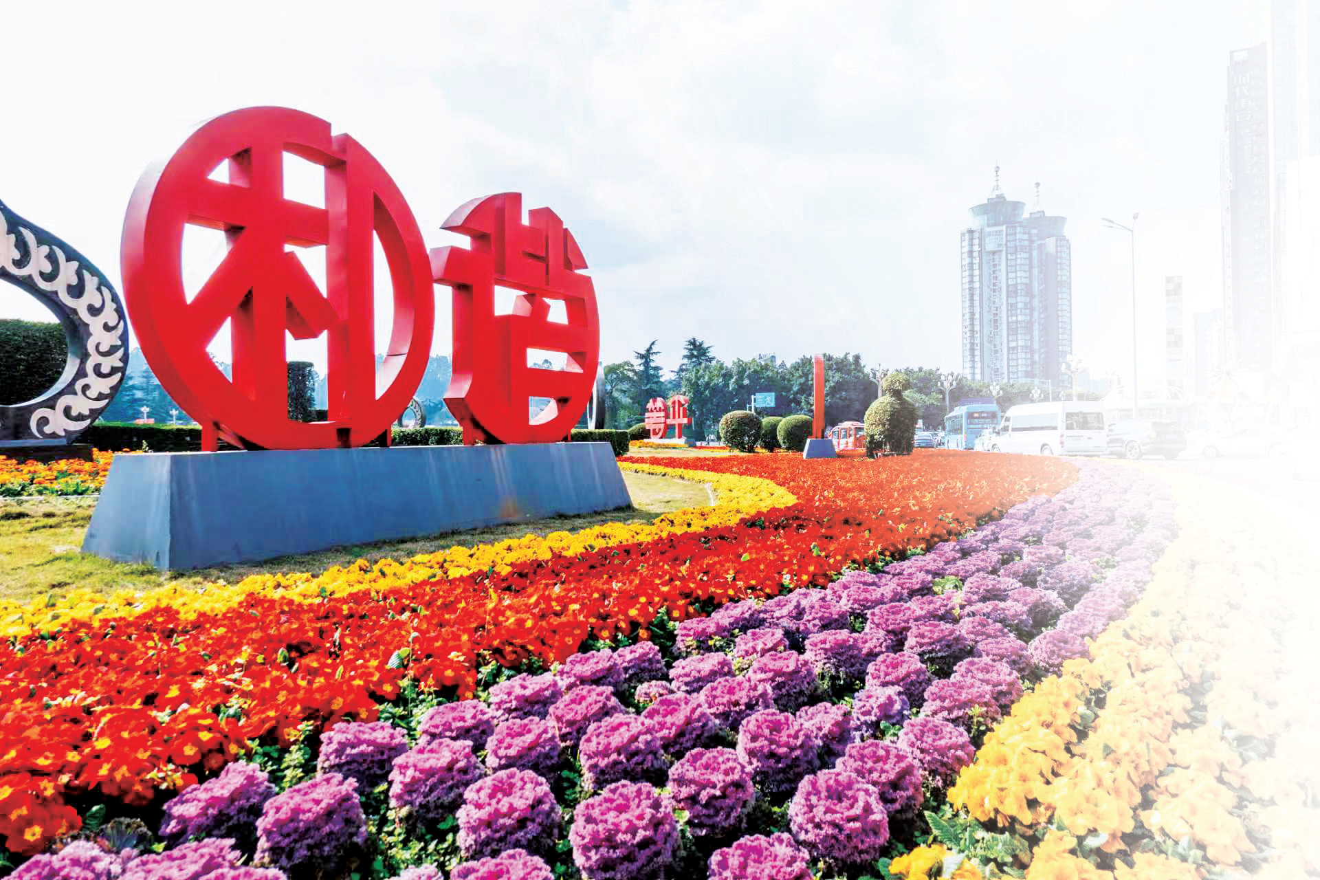 95 万余盆鲜花“上线” 花团锦簇迎新春(图1)