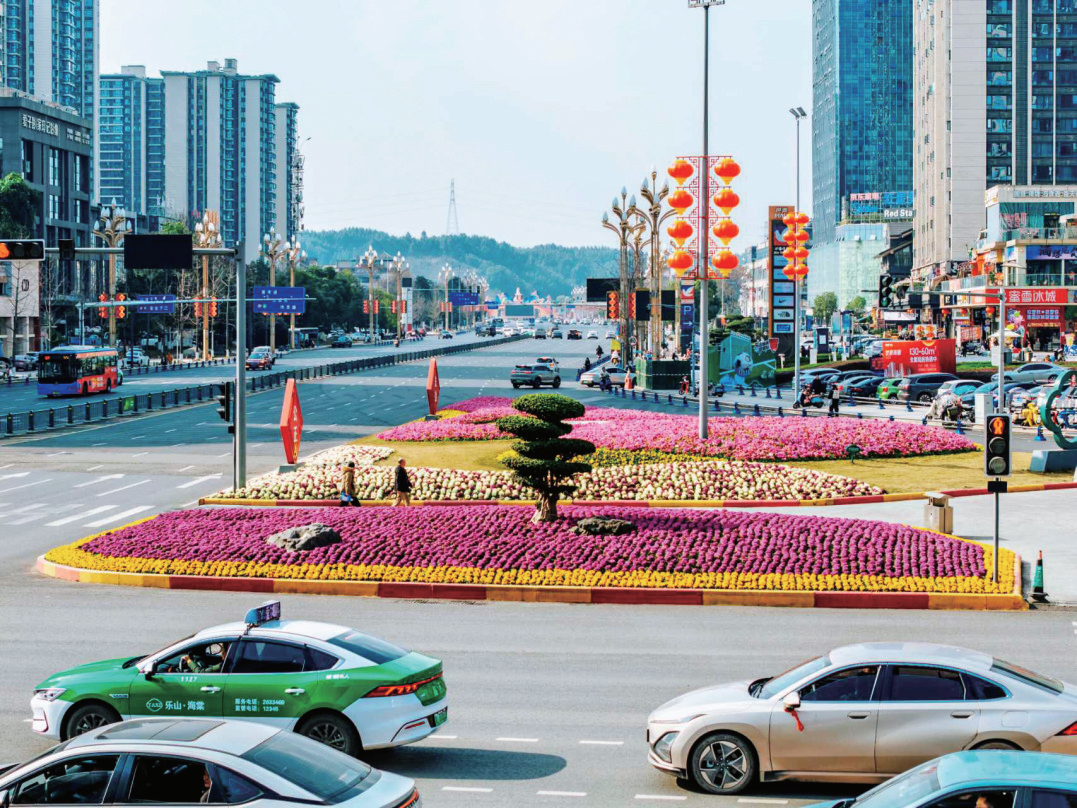 95 万余盆鲜花“上线” 花团锦簇迎新春(图2)