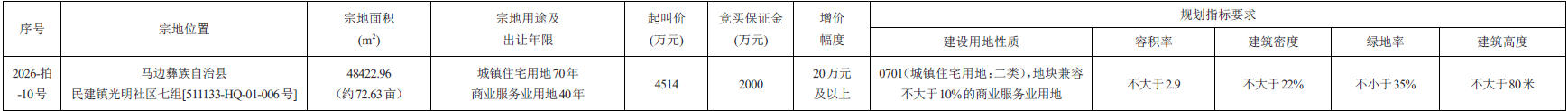 乐山国有建设用地使用权出让公告(图1)