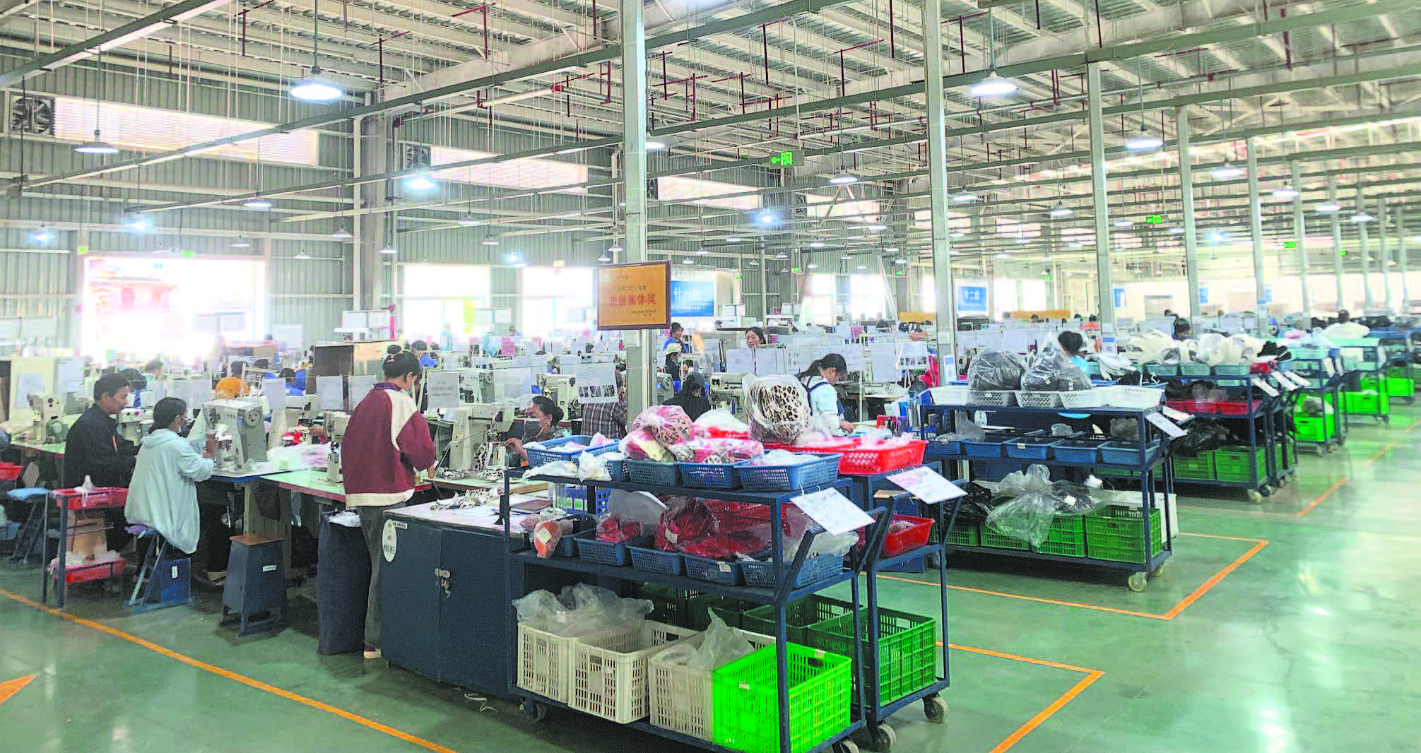 “乐美”同行促振兴(图1)