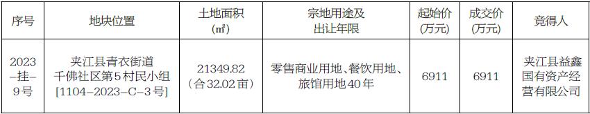 成交公示(图1)