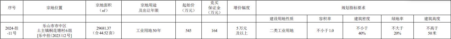 乐山国有建设用地使用权出让公告(图1)