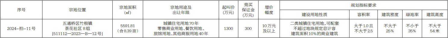 乐山国有建设用地使用权出让公告(图1)