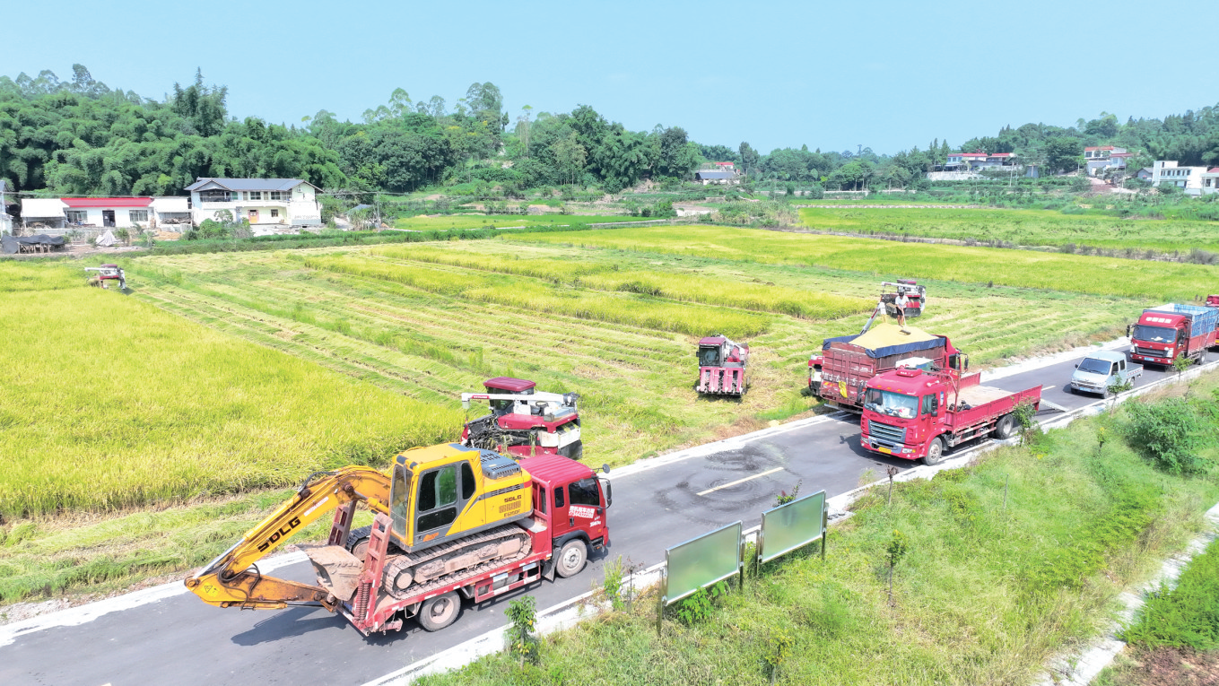 我市124万余亩水稻收割接近尾声(图1)