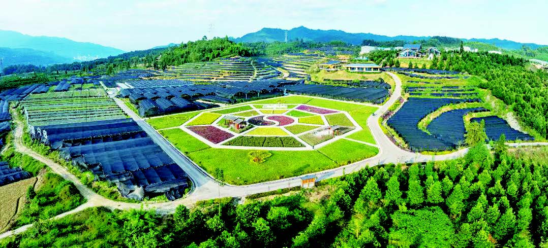 国粹飘香融入日常焕生机(图2)