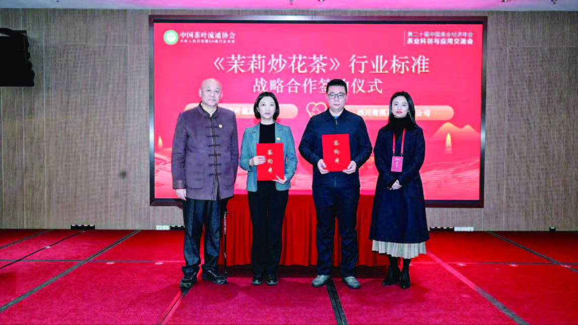 三百年匠心淬炼 一缕茶香飘四海(图2)