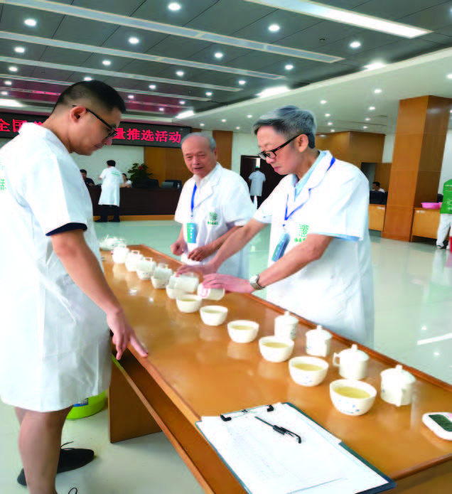 三百年匠心淬炼 一缕茶香飘四海(图3)