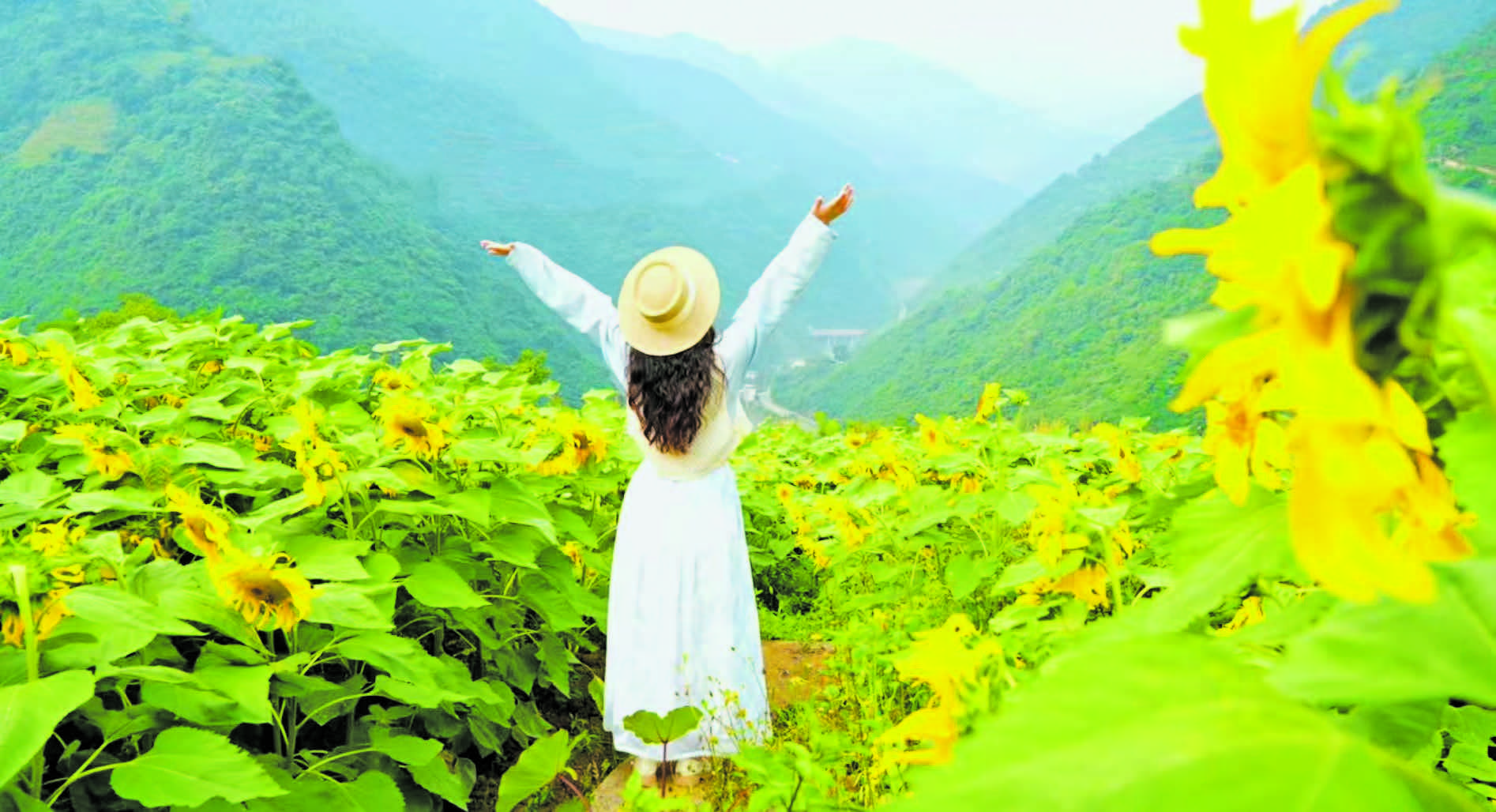 乐山“清凉经济”持续升温(图9)